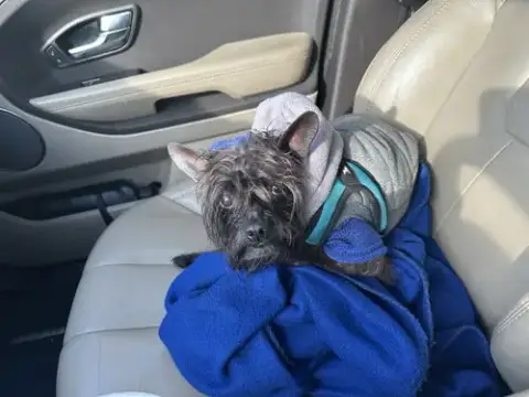 Pablo photo 2