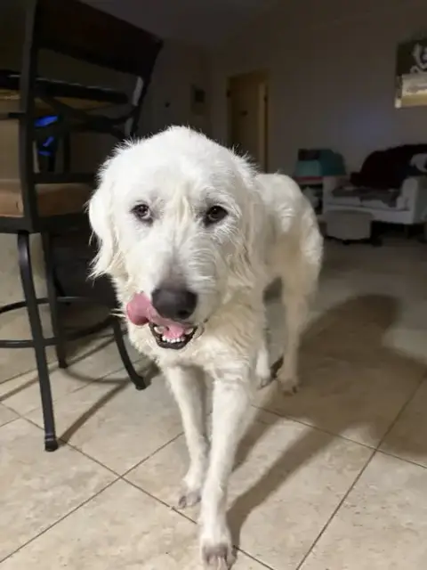 Max photo 2