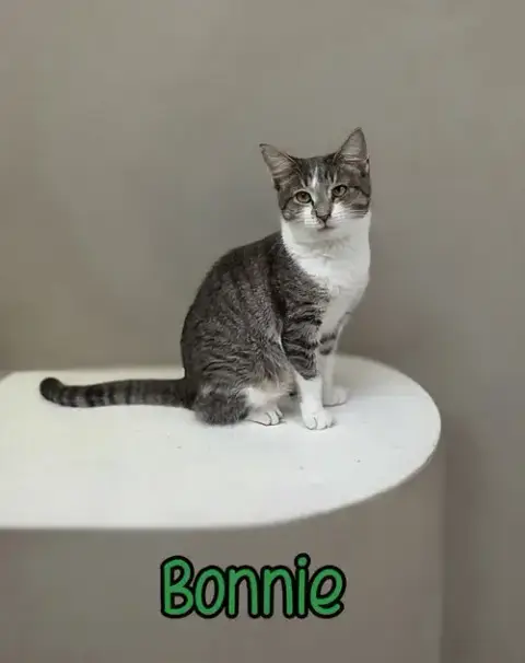 Bonnie photo 3