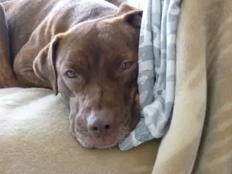 Rusty photo 2