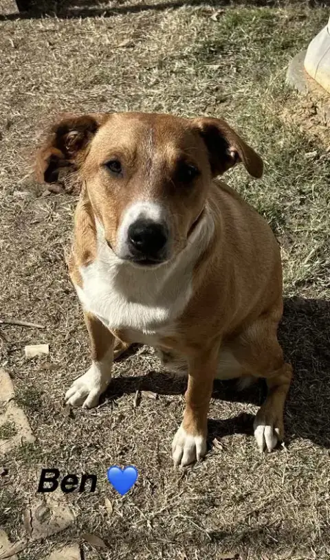 Ben- Beautiful Boy!