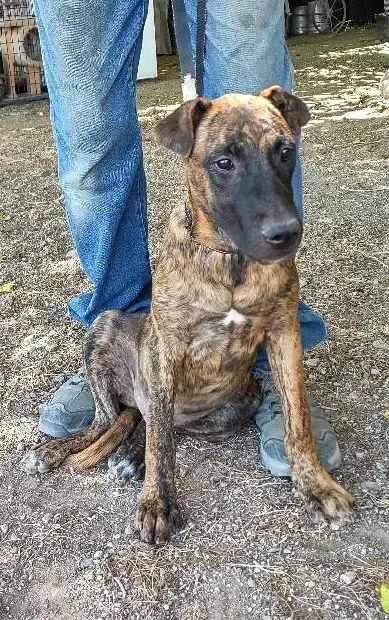 Kaizer photo 2