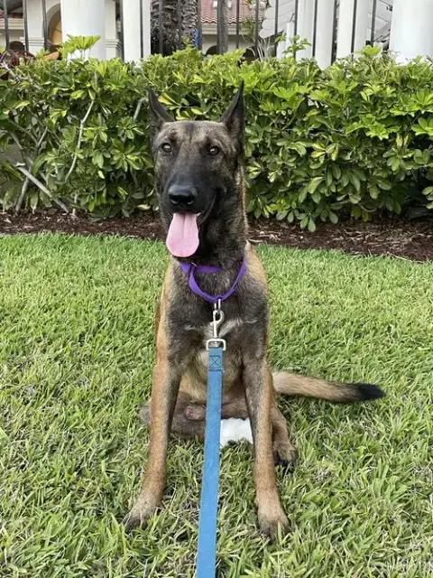 Axel photo 4