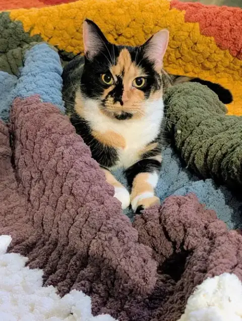 Macchiato