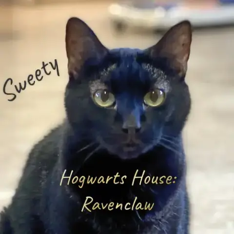 Sweety