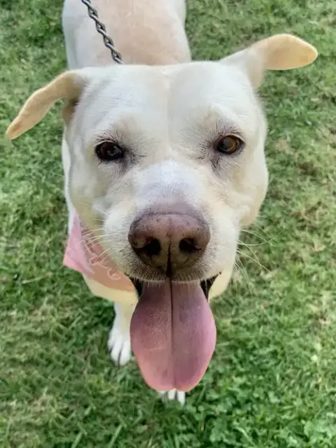 Maddy photo 4
