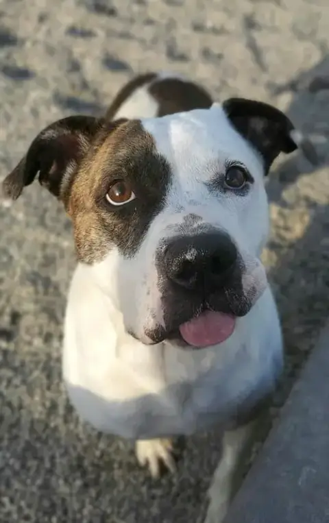 Jorja photo 2