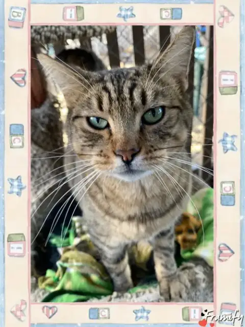 Tom
