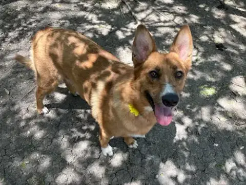 Lucy photo 3