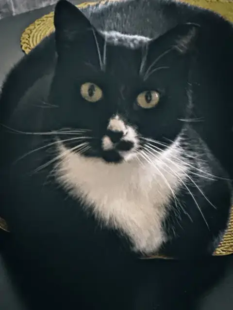 Abby