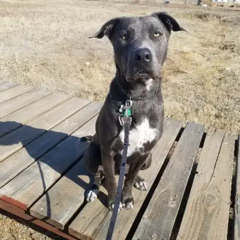 Tucker photo 3
