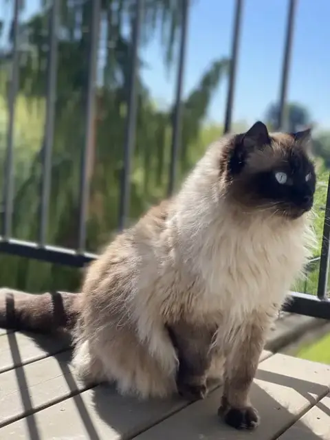 Mikko photo 2