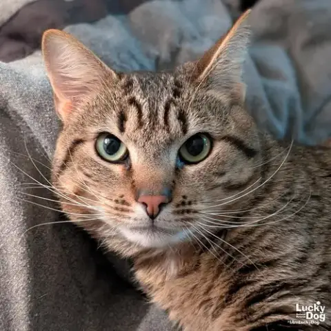 Fred