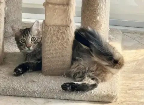 Luna photo 2