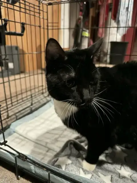 Winnie photo 4