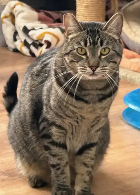 Pepper