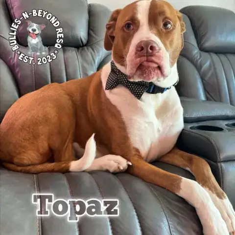 Topaz photo 2