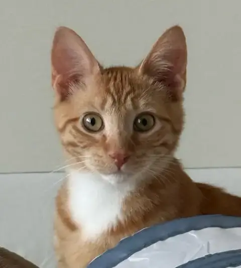 Gunnar photo 3