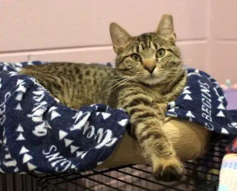 Milo photo 2