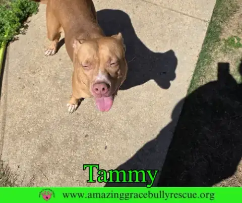 Tammy photo 5