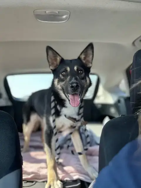 Jax photo 2