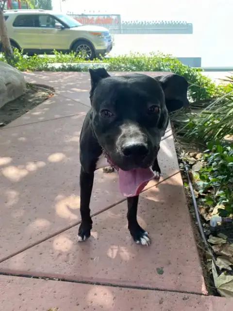 Lucy photo 3