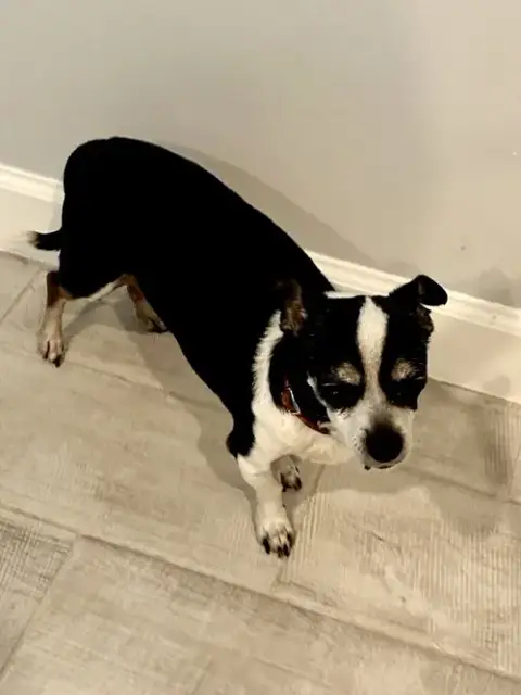 Charlie photo 4