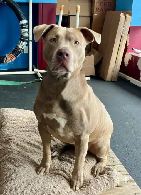 Sophie