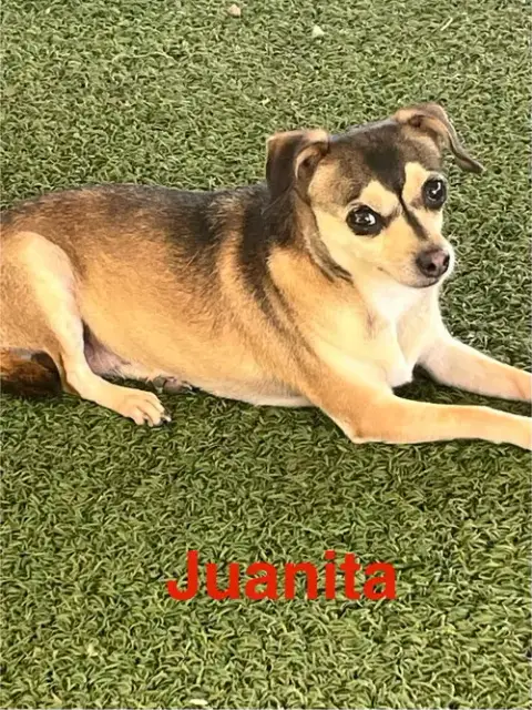 Juanita