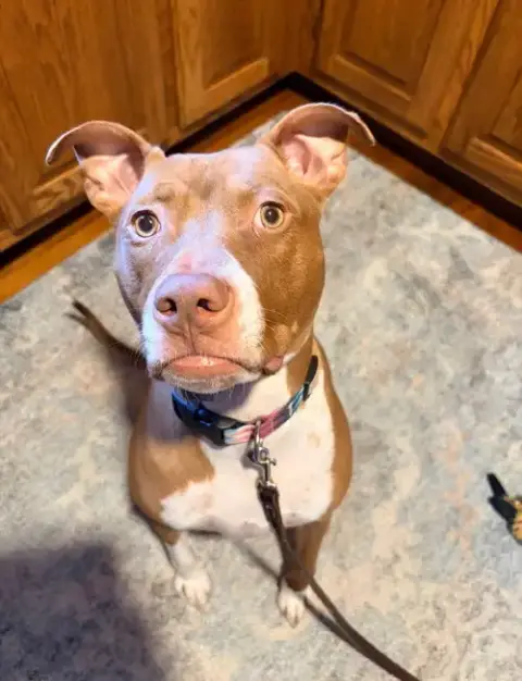 Maggie photo 3