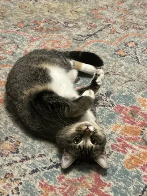 Buttercup Aka Blinkie photo 3