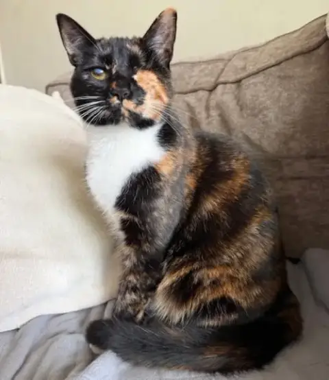Ella