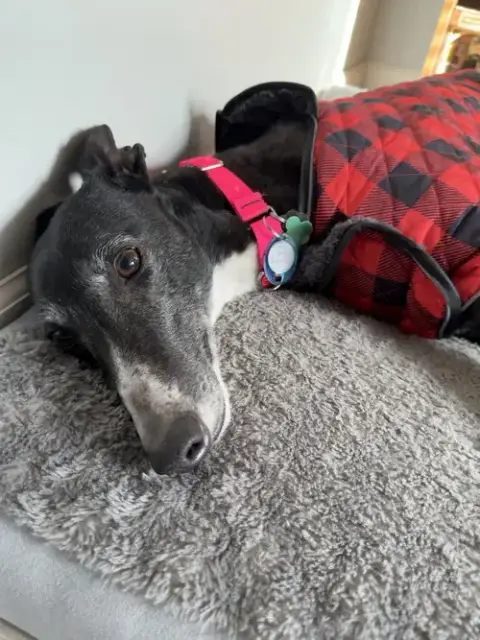 Honey photo 4