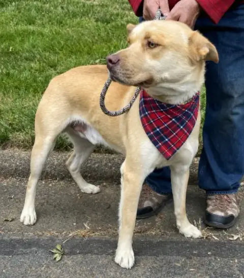 Mack photo 2