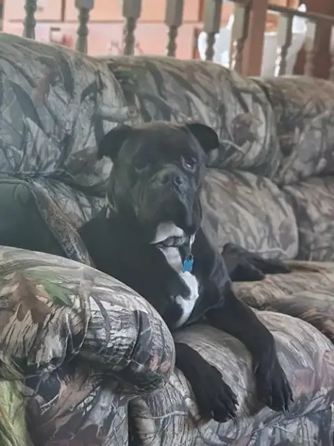Oscar photo 5