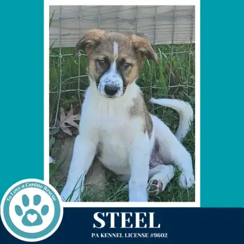 Steel photo 2