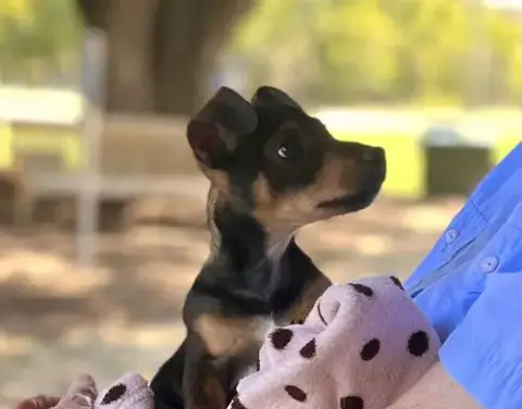 Bingo photo 5