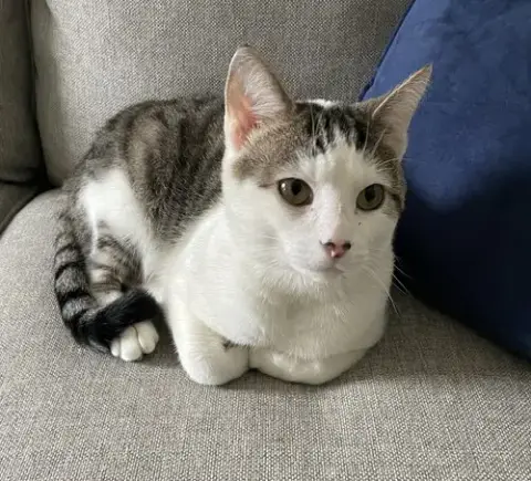 Little
