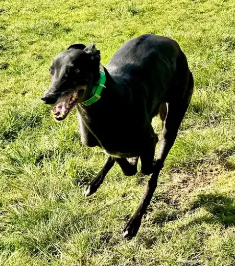 Ben photo 2