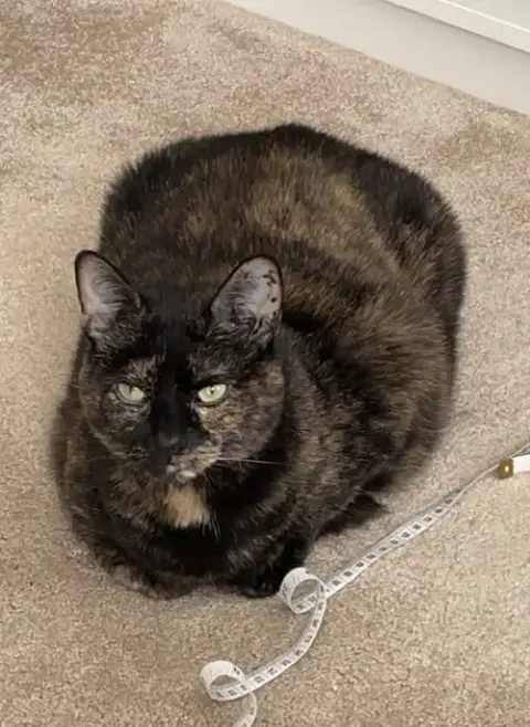 Maggie