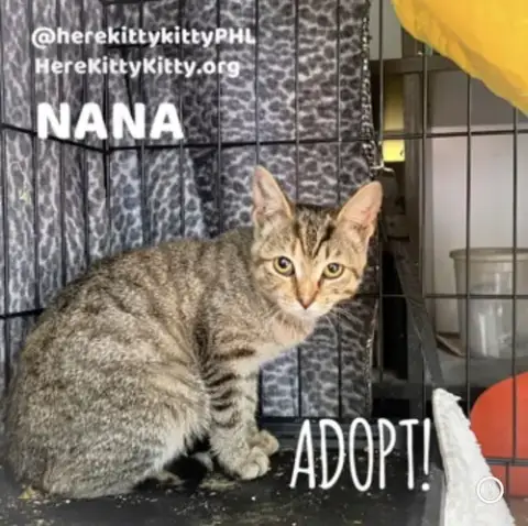 Nana