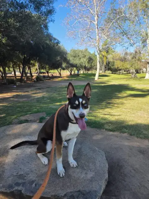 Kane photo 2