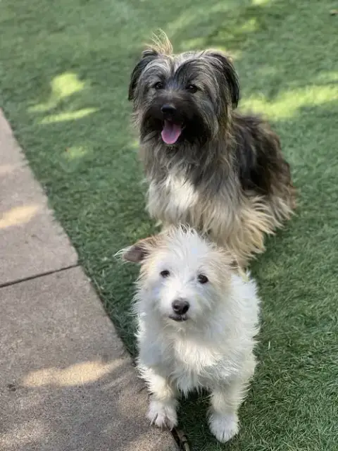 Ella And Shelby photo 5