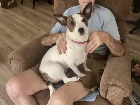 Rita