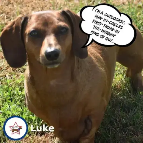Luke In Nc photo 5
