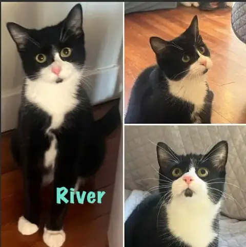 River