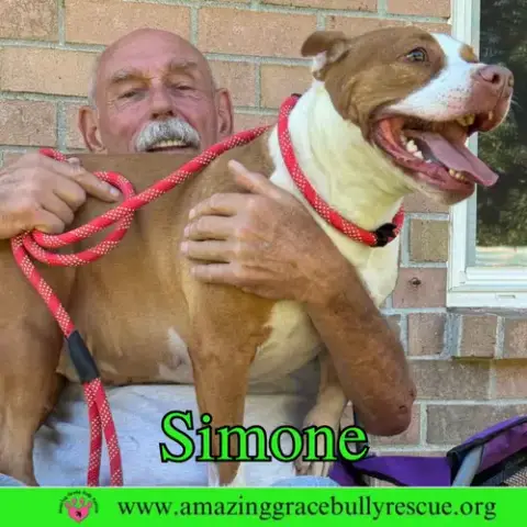 Simone photo 5