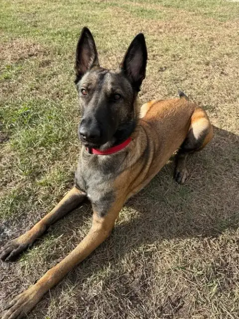 Axel photo 3