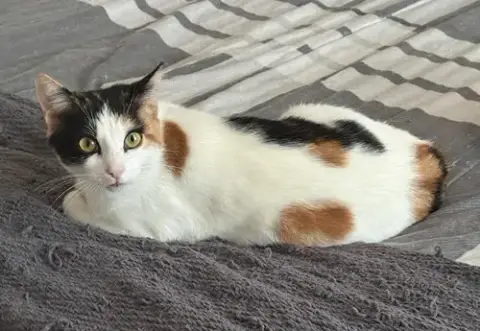 Minky