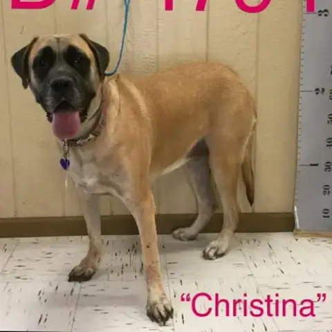 Christina